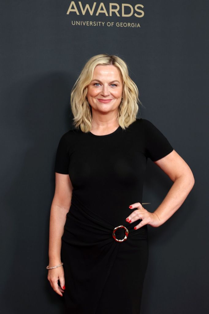 Amy Poehler and a First-Class Passenger Clash Over Ana Gasteyer's Daughter