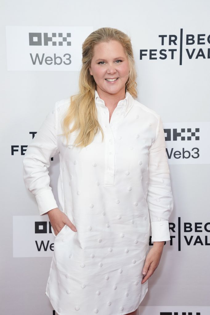 Amy Schumer's Journey From Stand-Up Struggle to Stardom