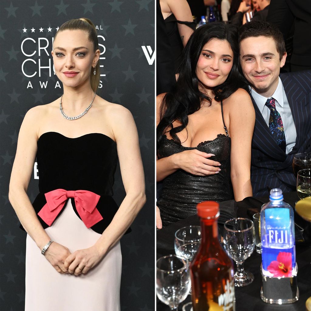 Chalamet's Award Speech Sparks Confusion Over 