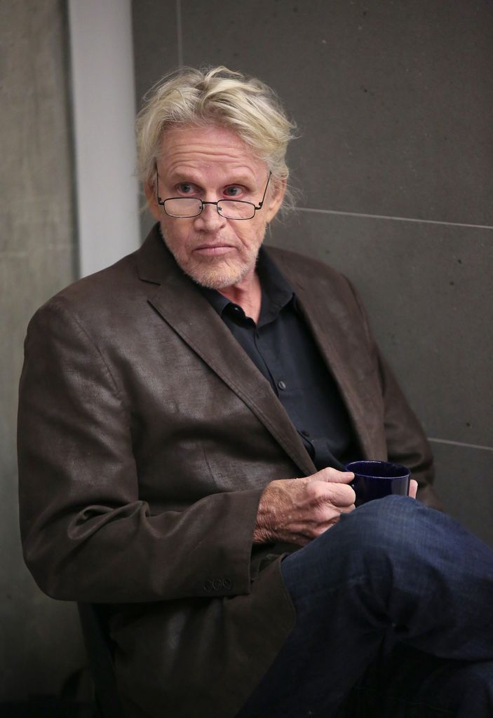 Gary Busey Receives Two Year Probation For Horror Convention Misconduct