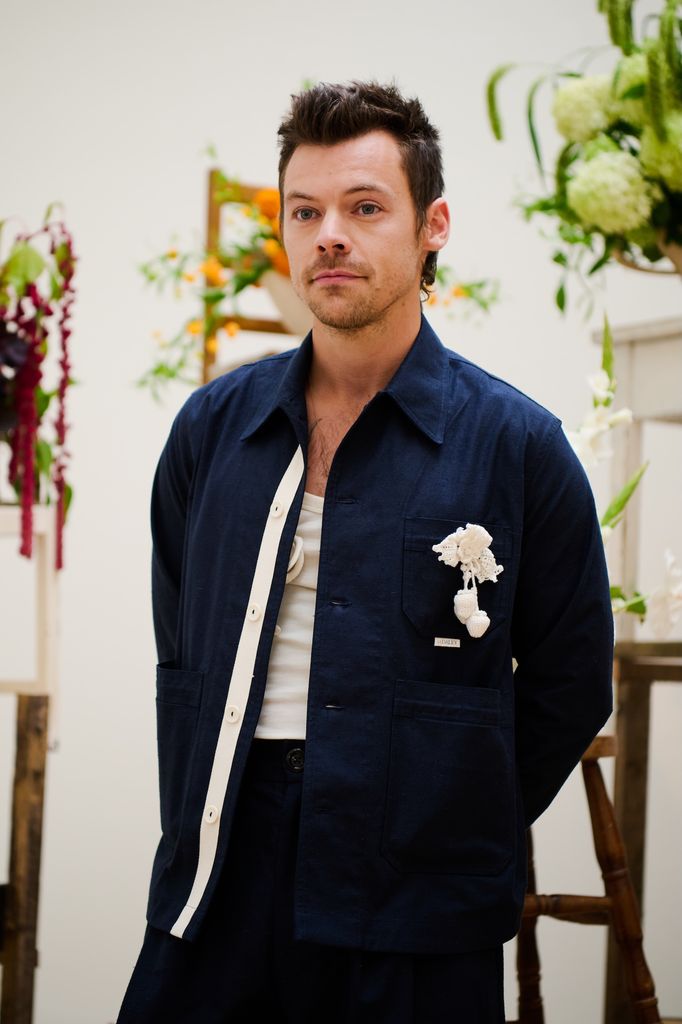 Harry Styles Blasts Through Berlin Marathon Under Three Hours Incognito