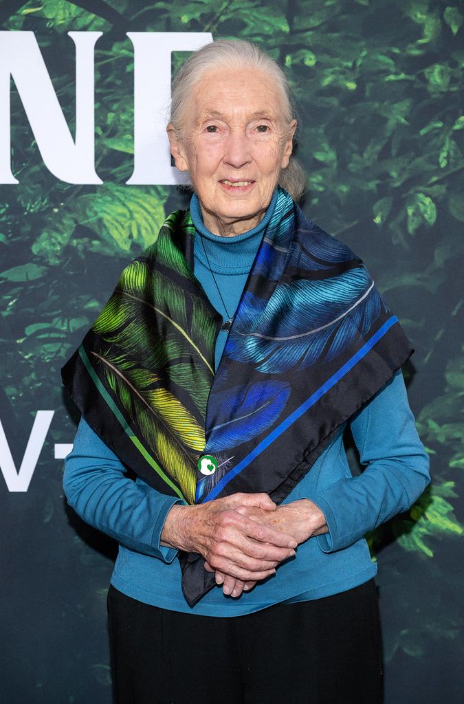 Jane Goodall A Life Dedicated to Conservation and Hope Leaves Us at 91