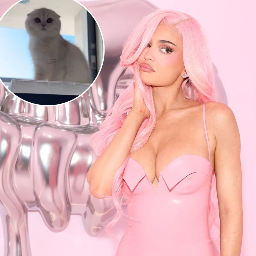 Kylie Jenner Welcomes Adorable White Kitten Following Loss of Beloved Dog Norman