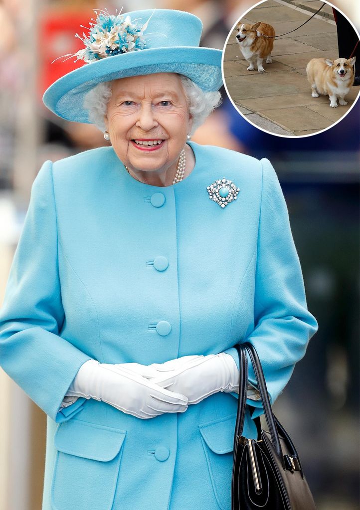 Queen Elizabeth's Corgis Caught in Royal Shuffle Amidst Prince Andrew's Demotion