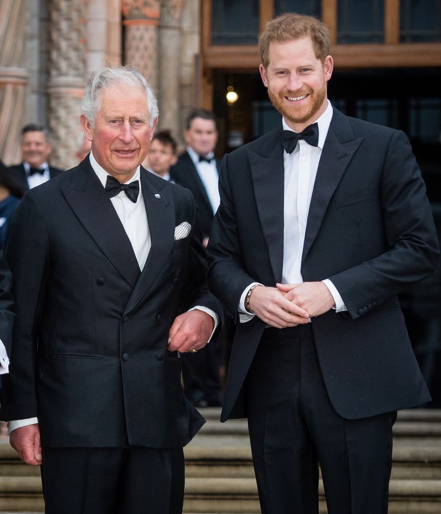 Royal Rep Denies Formal Treetment of Prince Harry by King Charles