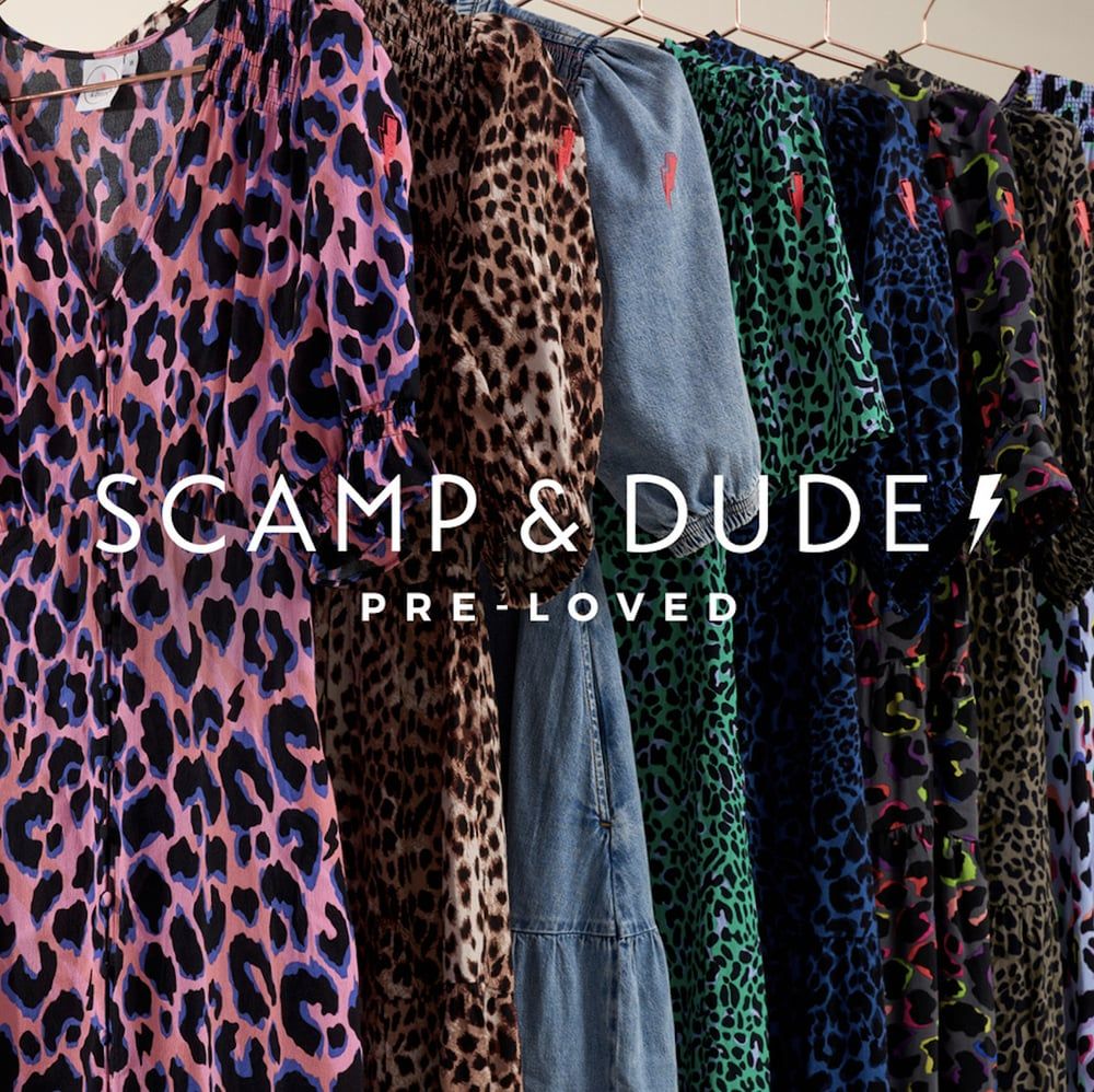 Scamp & Dude Launches 