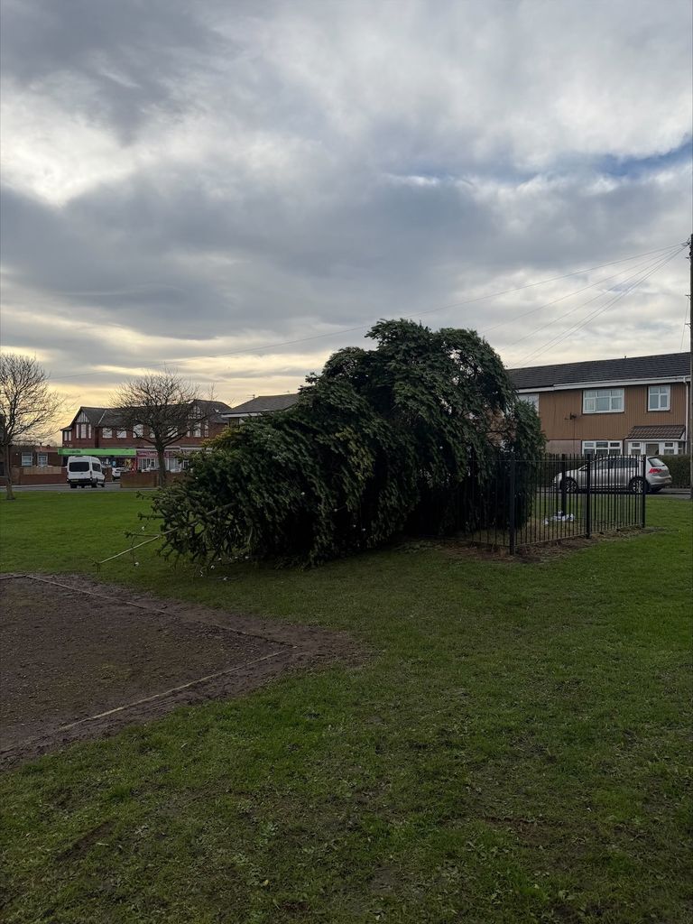 Vandals Chainsaw Down Beloved Peterlee Christmas Tree Memorial Hours After Light Switch-On.