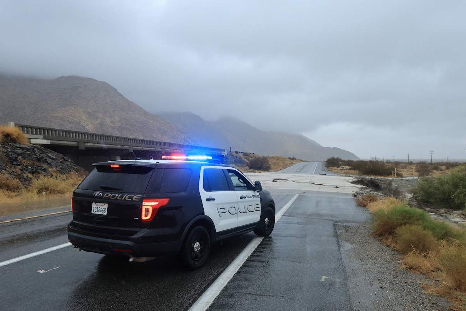 Women Indicted for Animal Cruelty After Four Deceased Cats Found in Freezer and 17 Animals Rescued From Uninhabitable Home
